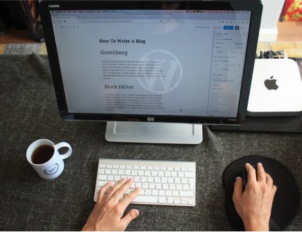WordPress Security Audit first